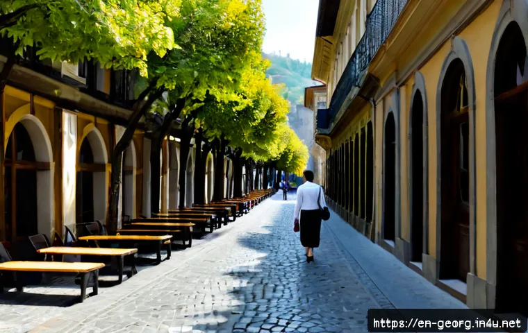조지아에서 가장 안전한 여행지 - Photorealistic travel scene in Tbilisi, Georgia, a relaxed solo traveler walking along a clean cobbl...